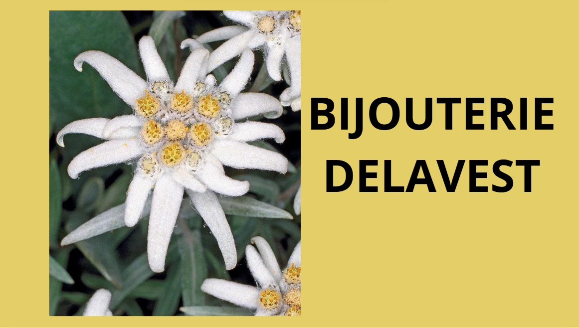 BIJOUTERIE DELAVEST